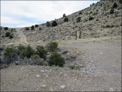 Whipple Cave Access Road