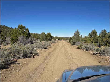 Wild Horse Valley Road