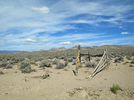 Wild Horse Valley Road