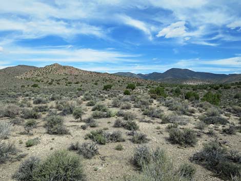 Wild Horse Valley Road