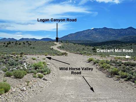 Wild Horse Valley Road