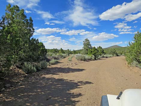 Wild Horse Valley Road