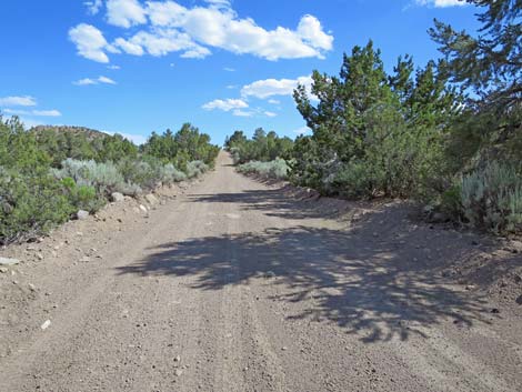 Wild Horse Valley Road