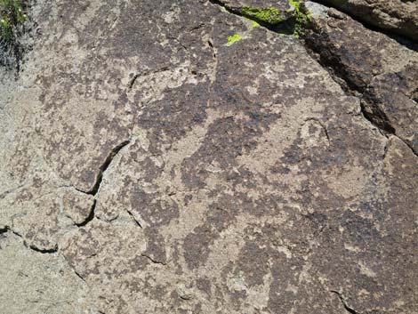 Shooting Gallery Rock Art Site