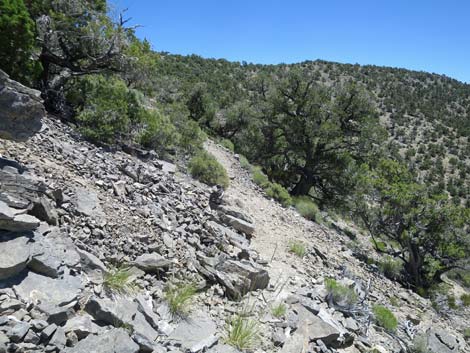 Tikaboo Peak