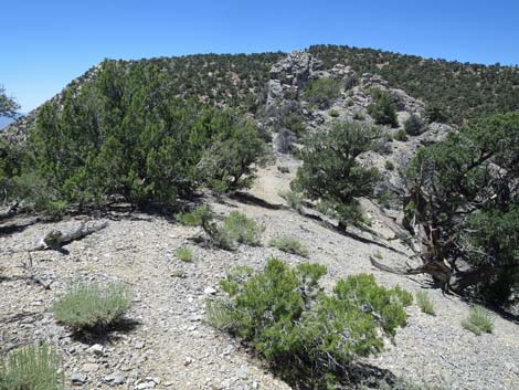 Tikaboo Peak