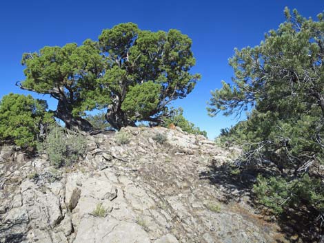 Tikaboo Peak