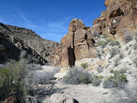 Valley of Faces