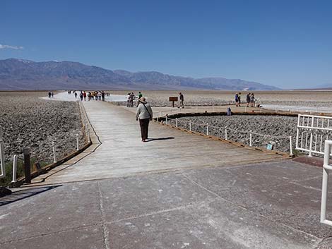 Badwater Salt Flat Trail