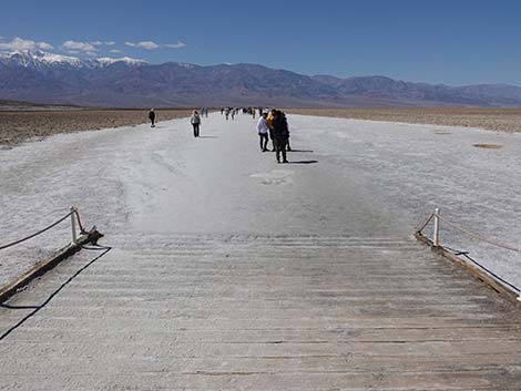 Badwater Salt Flat Trail