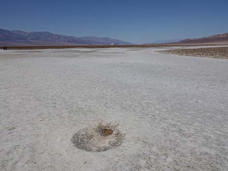 Badwater Salt Flat Trail