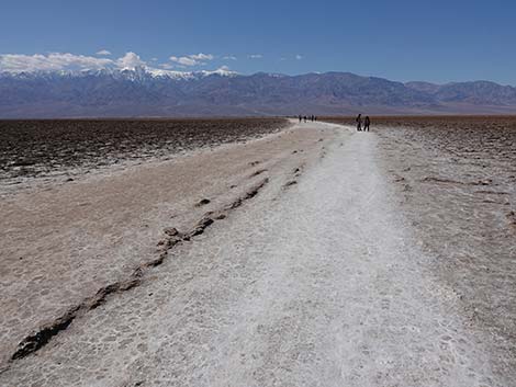 Badwater Salt Flat Trail