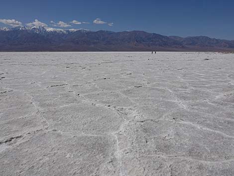 Badwater Salt Flat Trail