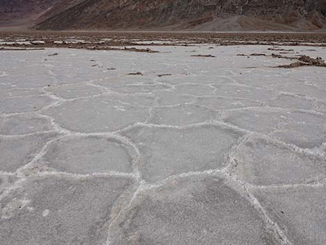 Badwater Salt Flat Trail