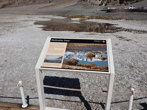 Badwater Salt Flat Trail