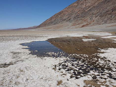 Badwater Salt Flat Trail