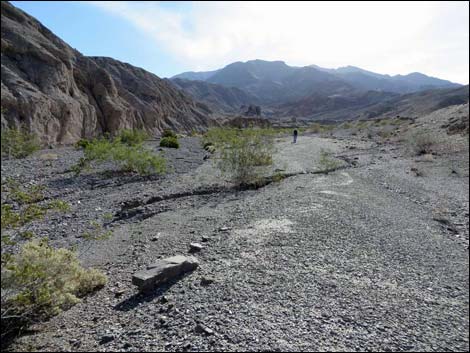 Black Point Canyon