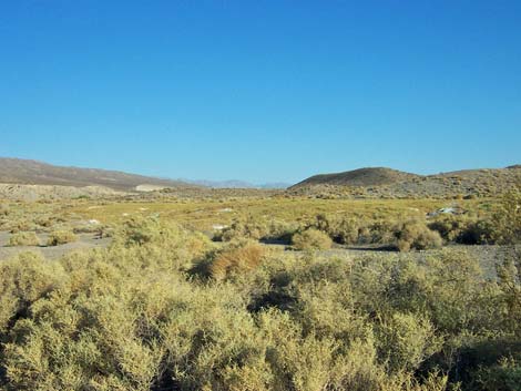 Mesquite Spring Campground