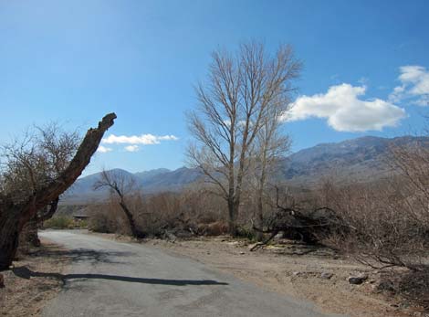 Mesquite Springs Campground