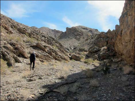 Cairn Canyon