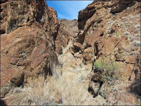 Cairn Canyon