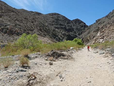 Darwin Falls Trail