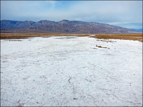 Harmony Salt Flats