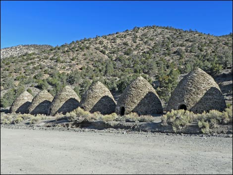 Wildrose Charcoal Kilns