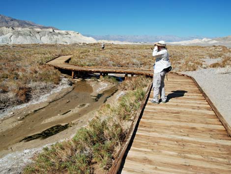 Death Valley National Park, Salt Creek