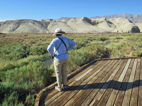 Death Valley National Park, Salt Creek