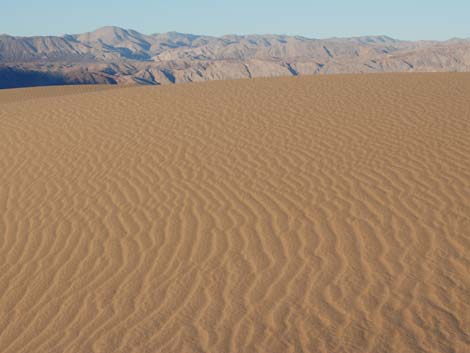 Mesquite Flat Sand Dunes