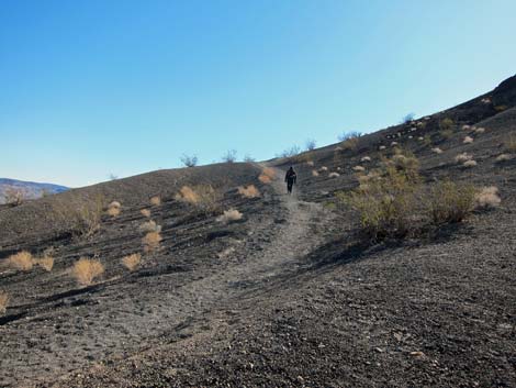 Little Hebe Crater