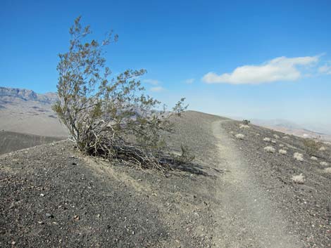 Ubehebe Crater