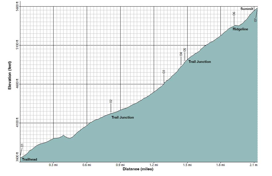 zinc hill elevation profile