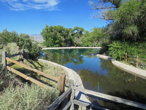 Jackrabbit Loop Trail