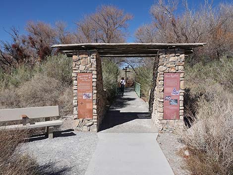 Jackrabbit Loop Trail