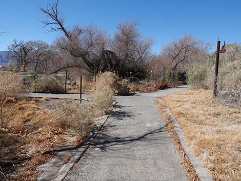 Jackrabbit Loop Trail