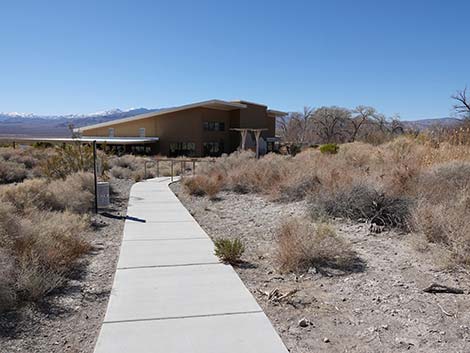 Jackrabbit Loop Trail