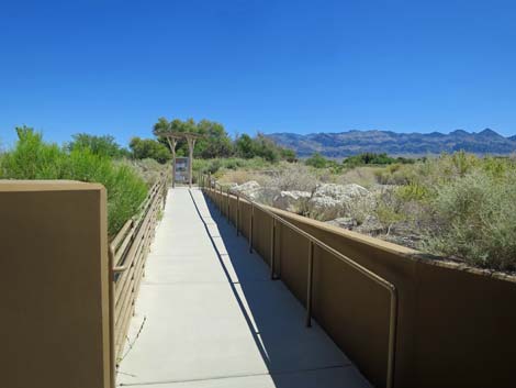 Jackrabbit Loop Trail