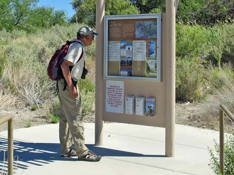 Birdsong Trail