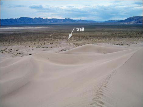 Desert Dry Lake Dunes North