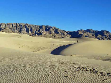 Desert Dry Lake Dunes North