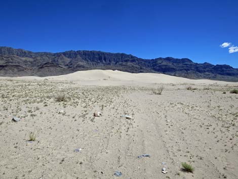 Desert Dry Lake Dunes