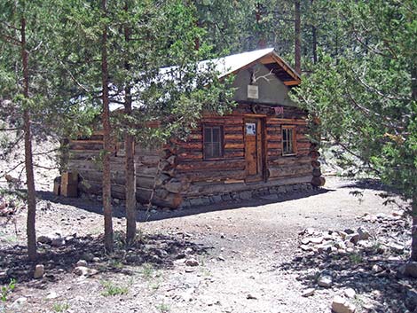 Hidden Forest Cabin