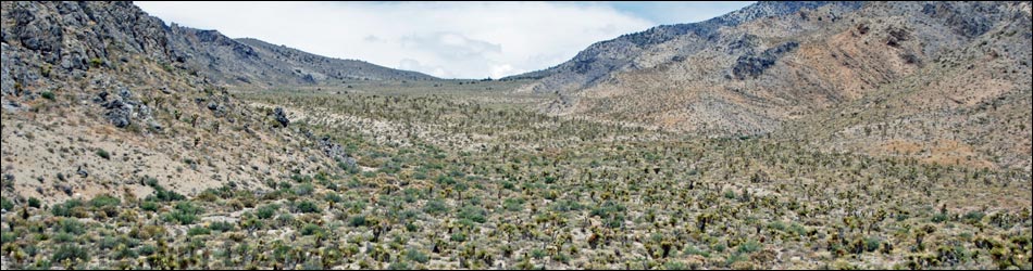 Joe May Canyon Guzzler