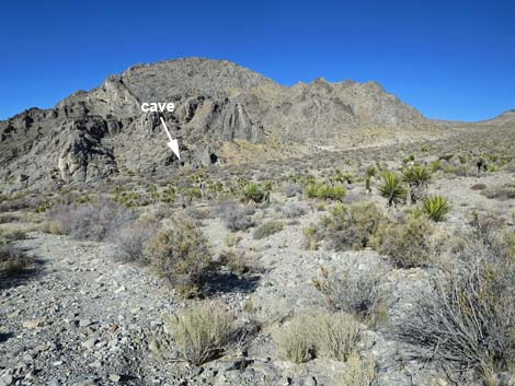 Joe May Canyon Guzzler