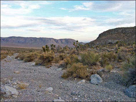 Long Canyon