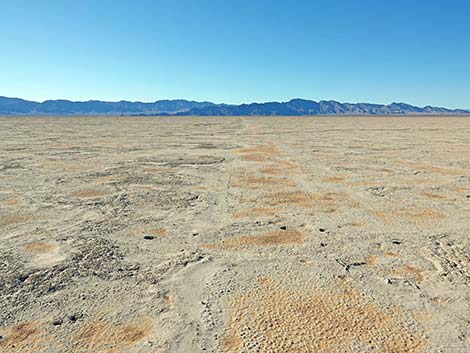 Desert Dry Lake Corral