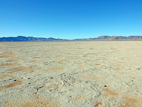 Desert Dry Lake Corral