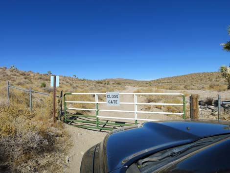 Alamo-Badger Connector Road